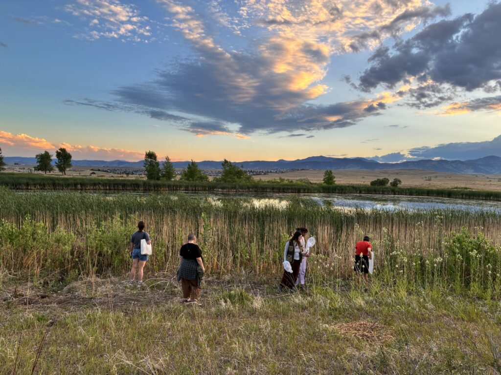 Urban Prairie Project
