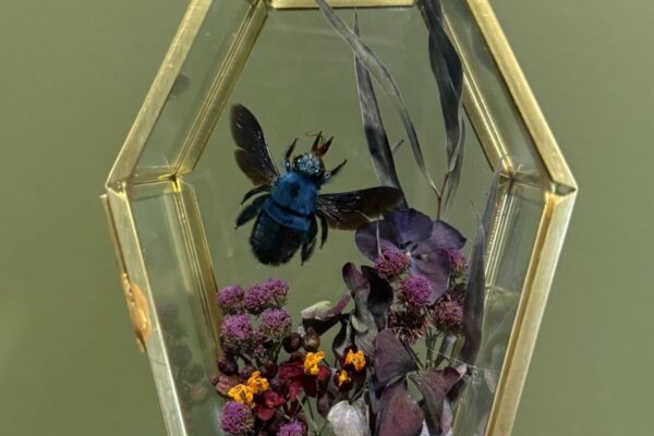 Mini Worlds Bee Workshop with The Terrorium Shop