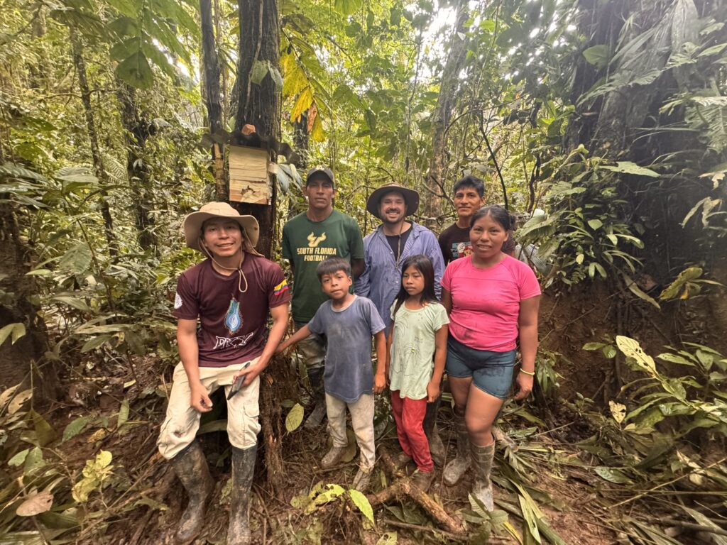 Stingless Bees Ecuador 2026
