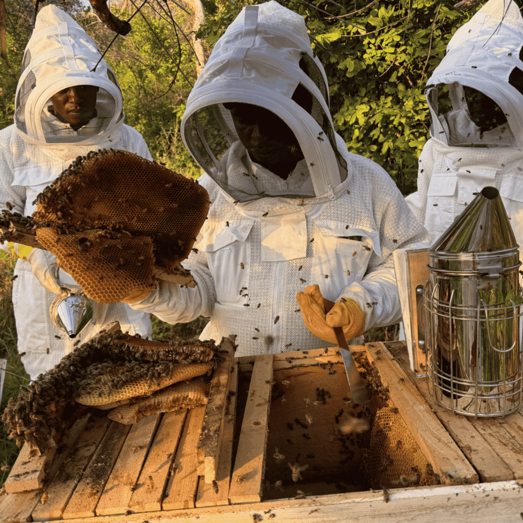 Beekeepers in Tanzania