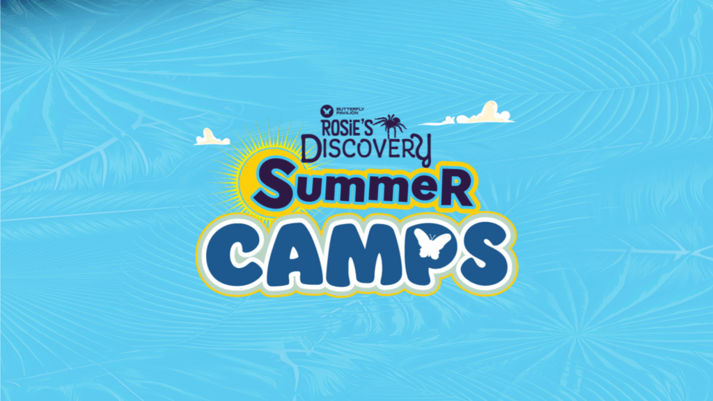 Aquatic Adventures – 7-9 Year Olds