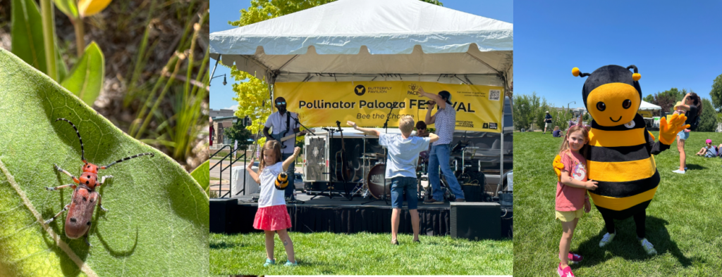 Pollinator Palooza Festival