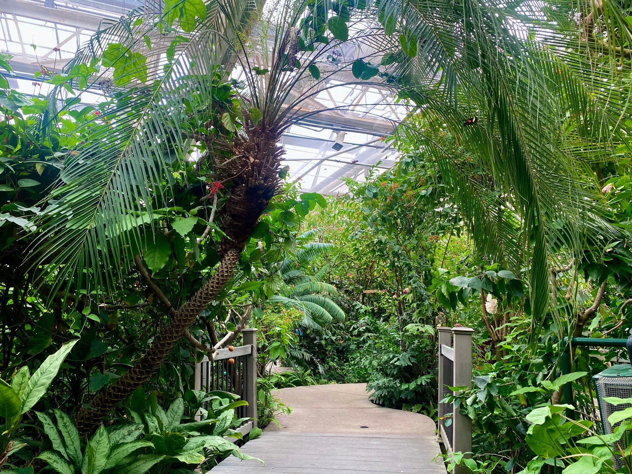 What's Blooming at Butterfly Pavilion this Winter