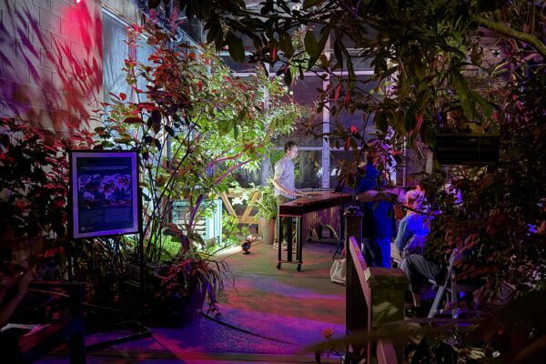 Concert in Wings of the Tropics