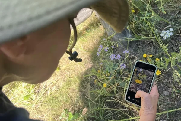 Eldorado Canyon Nature Investigators: Bioblitz Festival!