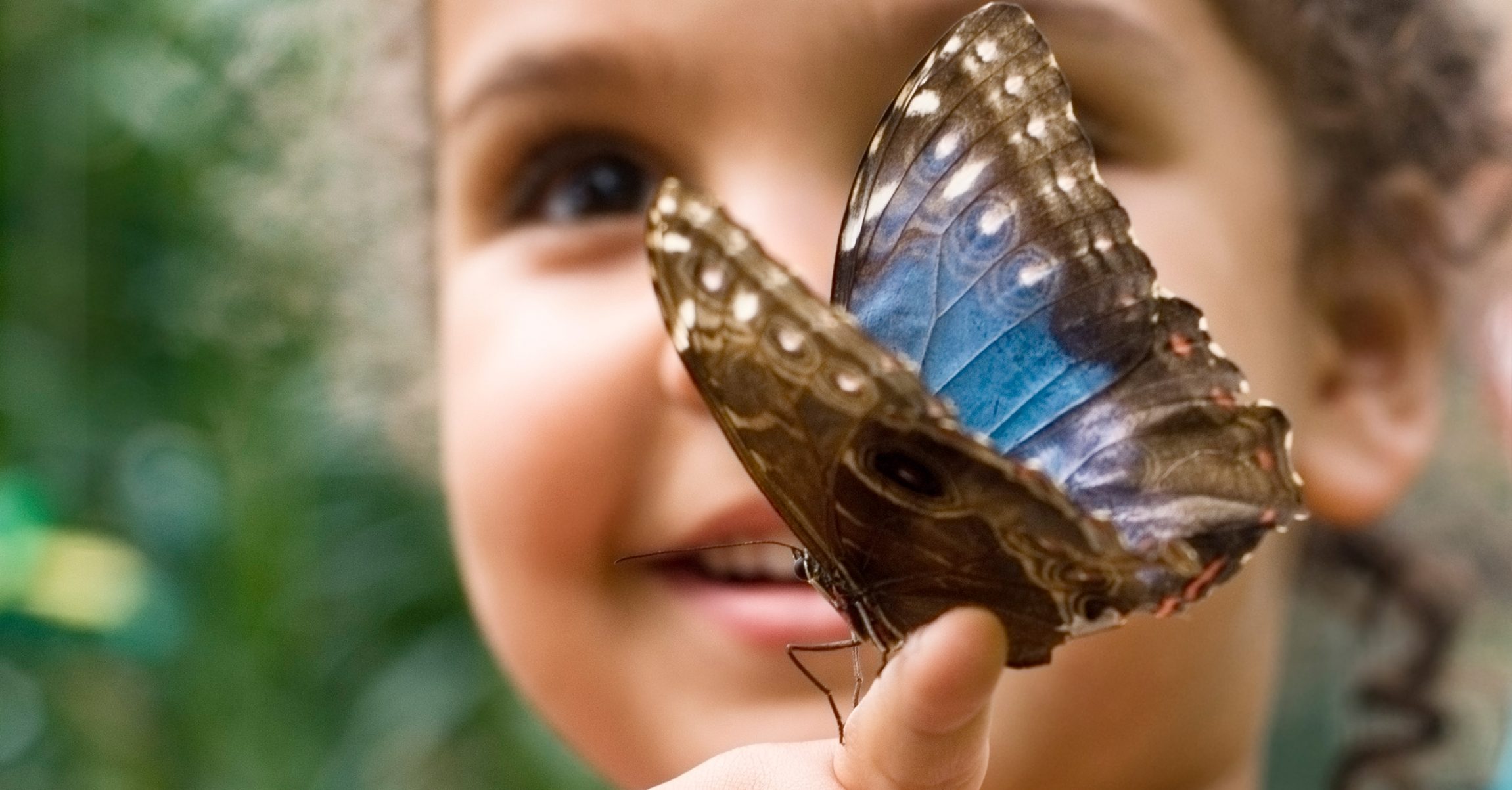 butterfly perches on a small girl's finger