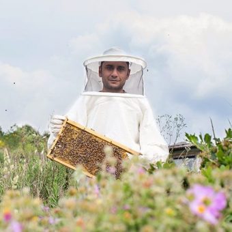Beekeeper in meadow hive