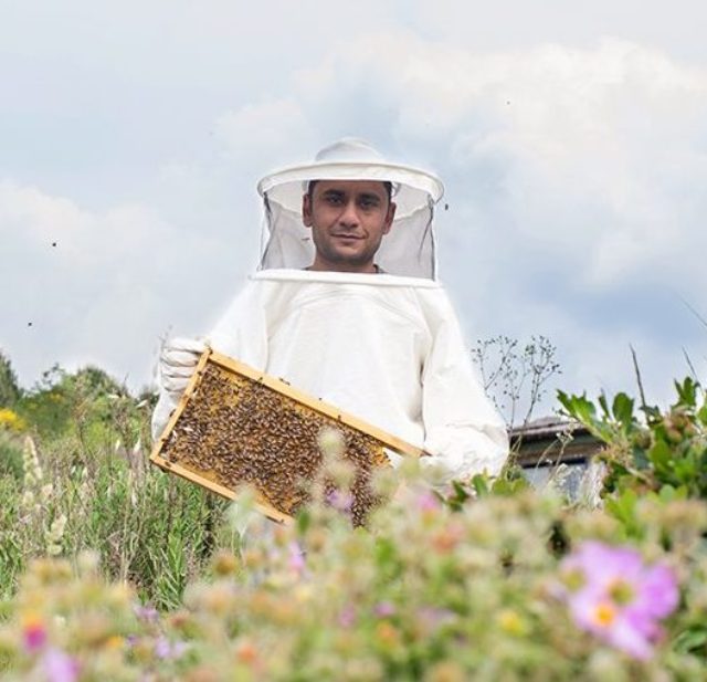 2024 Beginner Beekeeper School