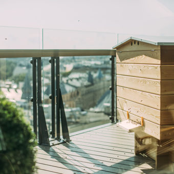 Urban beehive