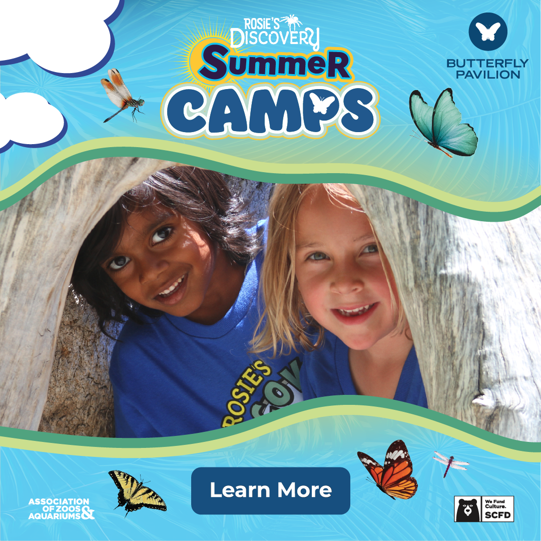 Butterfly Pavilion Summer Camps